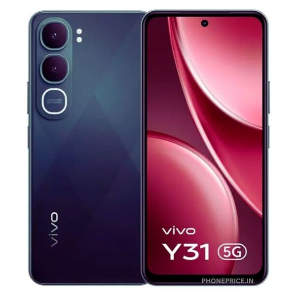 Vivo Y31 Price