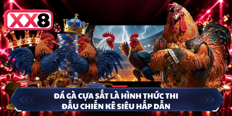 Đá gà cựa sắt là hình thức thi đấu chiến kê siêu hấp dẫn